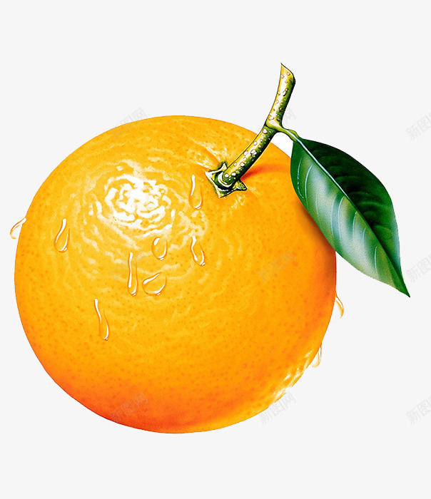 橙子上的水滴png免抠素材_88icon https://88icon.com 果实 橙子 水果 水滴 矢量橙子 绿叶 黄色橙子