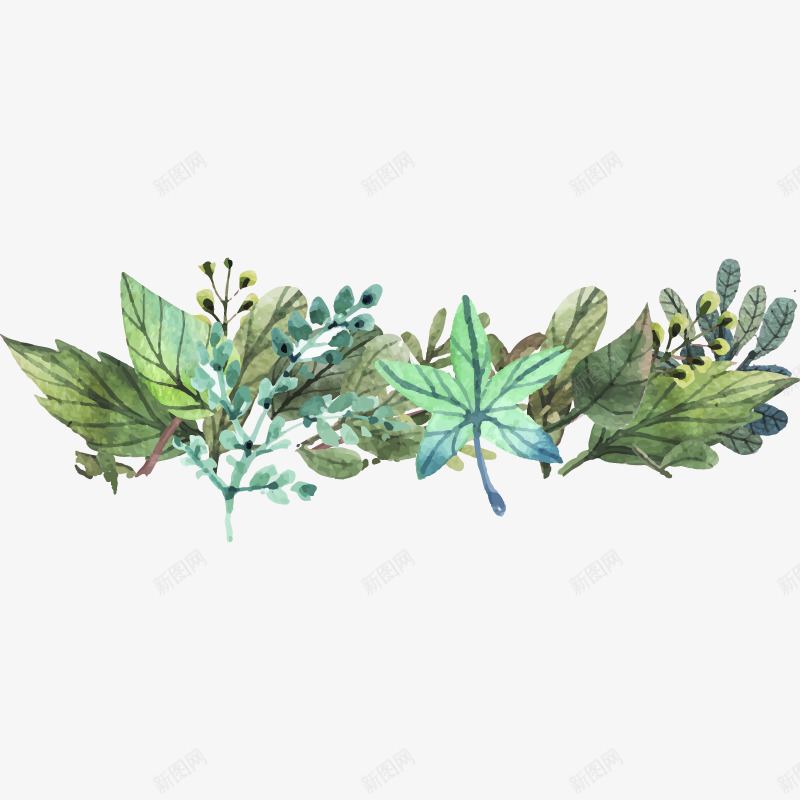 枫树叶等植物水彩画png免抠素材_88icon https://88icon.com 枫叶 植物 水彩