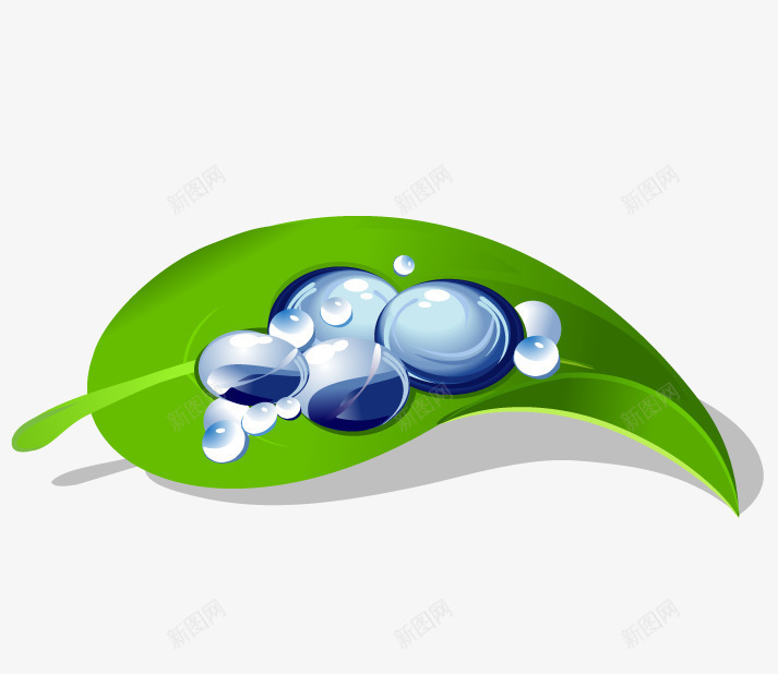 绿叶上的水珠png免抠素材_88icon https://88icon.com 健康 天然 水珠 绿叶 绿色