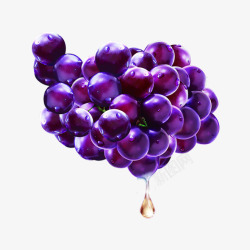 水晶紫葡萄素材