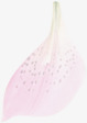 创意合成效果粉红色的花瓣素材