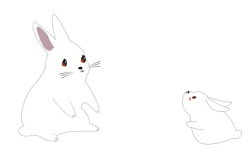 白兔子大白兔小白兔高清图片