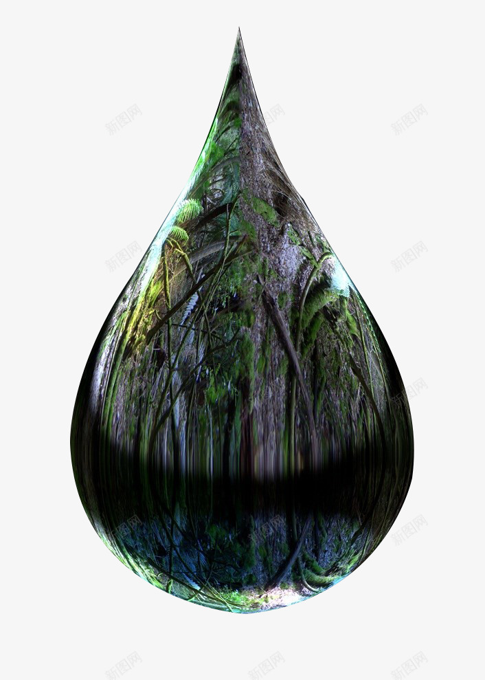 水滴里的大森林png免抠素材_88icon https://88icon.com 墨绿 树木 森林 水滴