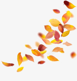 飘飞的枫叶飘飞的叶子高清图片
