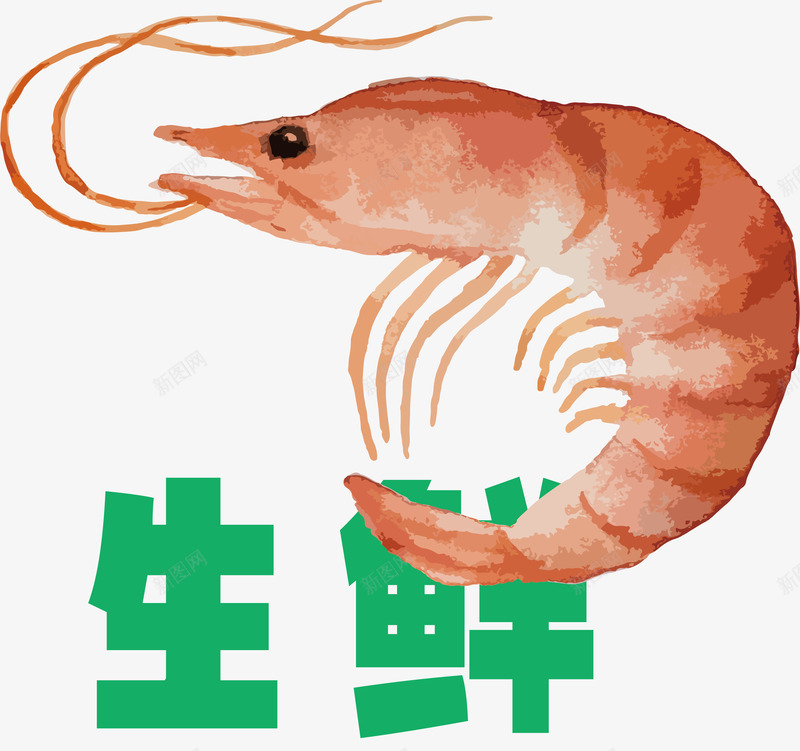 生鲜图案生鲜熟食矢量图ai免抠素材_88icon https://88icon.com 活色生鲜 生鲜传单 生鲜卡通 生鲜商城 生鲜引导页 生鲜按钮 生鲜柜 生鲜标语 生鲜超市宣传单 生鲜钜惠 矢量图 超市传单