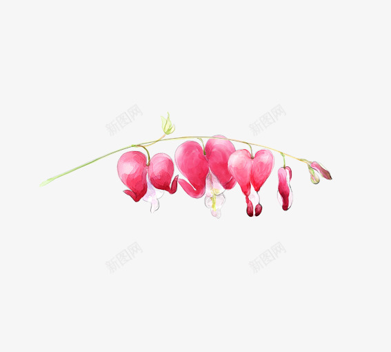 手绘花psd免抠素材_88icon https://88icon.com 卡通植物 手绘花 粉红色 粉红色的花 花