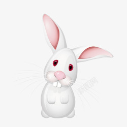 白色大耳兔素材