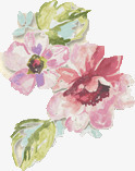 彩绘牡丹花粉红花朵装饰素材