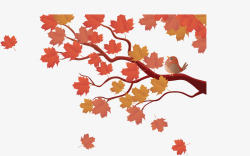 美丽秋季红色枫叶矢量图素材