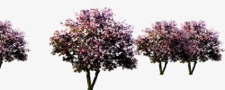 红色梅花树摄影合成素材