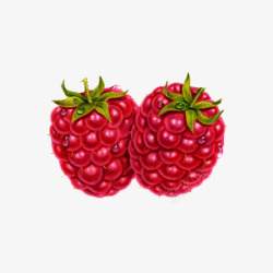 手绘红色树莓素材