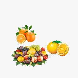夏季水果橙子葡萄李子桔子素材