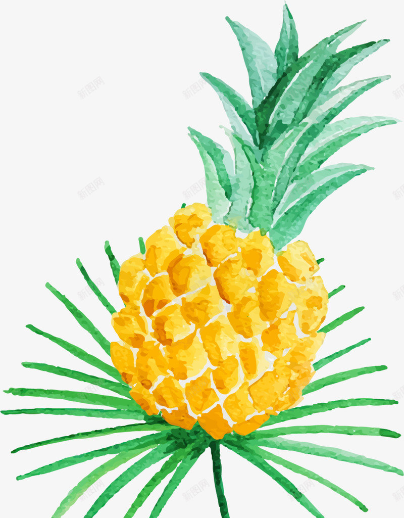 夏季手绘黄色菠萝png免抠素材_88icon https://88icon.com 夏季菠萝 手绘菠萝 水彩 画画 绘画 黄色菠萝