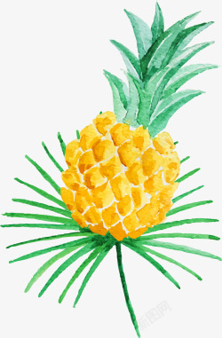 夏季手绘黄色菠萝素材