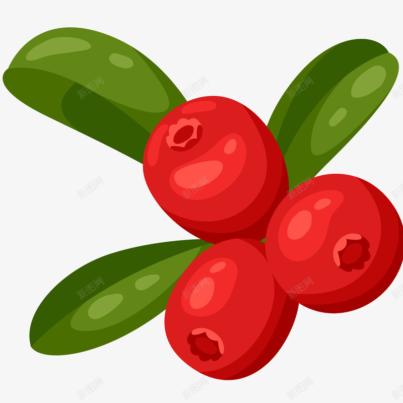 新鲜浆果插画矢量图ai免抠素材_88icon https://88icon.com 免抠PNG 成熟 新鲜浆果矢量插画 秋天 红色果实 绿叶 矢量图