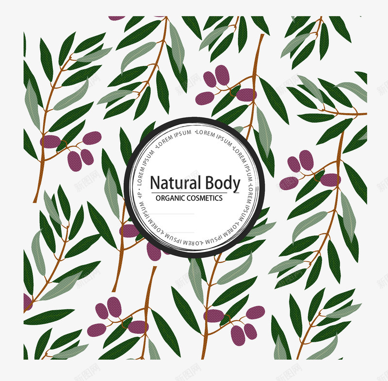 橄榄树枝背景png免抠素材_88icon https://88icon.com 天然 树枝 橄榄 种子