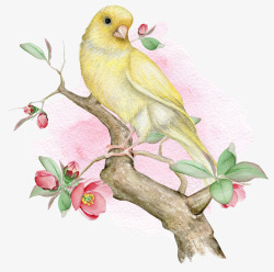 卡通手绘黄色的小鸟与花素材