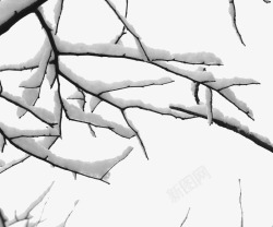 雪堆积风景树枝和雪高清图片