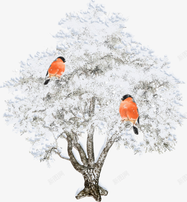 树上的白雪png免抠素材_88icon https://88icon.com 卡通 树枝 白雪 鸟