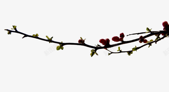 桃花树枝png免抠素材_88icon https://88icon.com 免扣 干花树枝 桃树枝 装饰