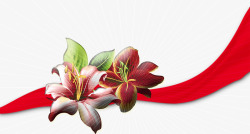 三朵百合花飘扬的红丝带素材