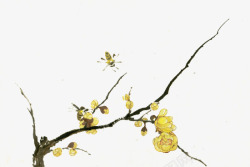树枝上的黄色花朵手绘素材