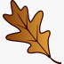 橡树叶秋天png免抠素材_88icon https://88icon.com oakleaf 橡树叶
