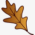 橡树叶秋天素材
