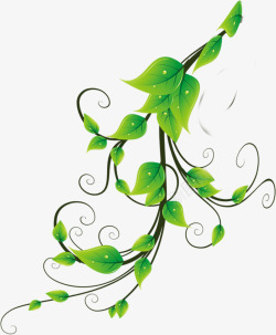 绿色时尚清爽花纹树枝素材