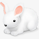 兔子复活节兔子Easterlinpng免抠素材_88icon https://88icon.com bunny easter rabbit 兔子 复活节