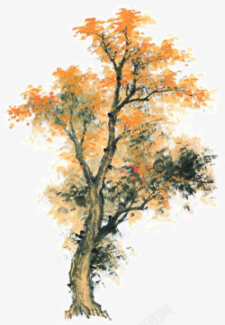 秋天枫树手绘素材