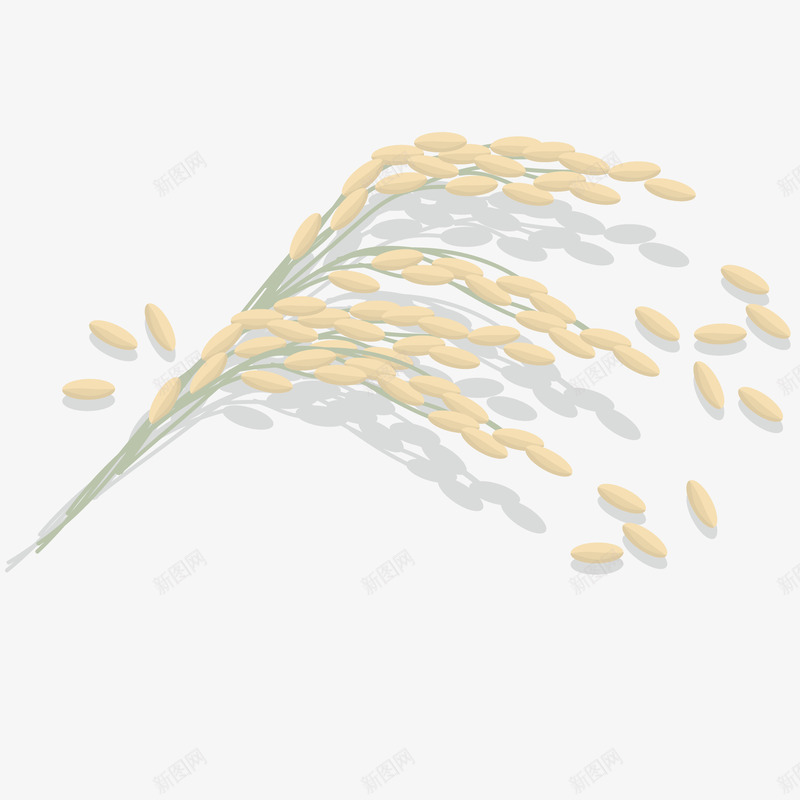 卡通稻穗矢量图ai免抠素材_88icon https://88icon.com PNG图 PNG图下载 丰收 创意卡通 卡通 卡通插图 插图 矢量图 秋天 稻穗 金色麦穗 麦穗 黃色稻穗