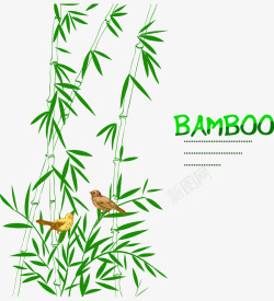 竹子上的小鸟素材