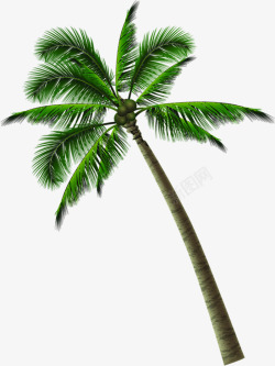 夏季热带海岛椰子树素材
