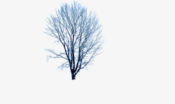冬季树枝插画背景素材