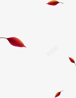 创意元素手绘红色枫叶素材
