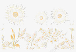 浅黄色的花边太阳花组合高清图片