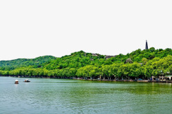 绿色夏季西湖景色实景素材