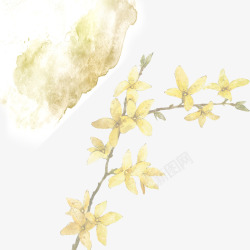黄花树枝素材