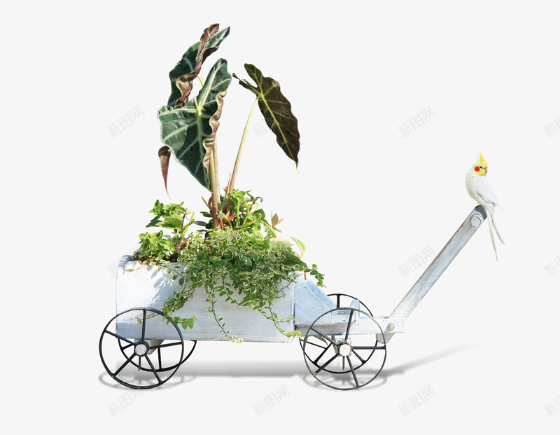 推车上的花卉png免抠素材_88icon https://88icon.com 卡通芋头 小清新 小鸟 拖车 推车 新鲜 盆栽 芋头叶子 花卉 花朵 荷叶 蔬菜