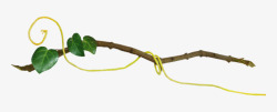 缠绕藤蔓的树枝古风手绘素材