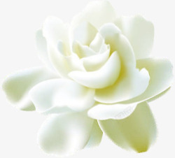 白色卡通分层花朵素材