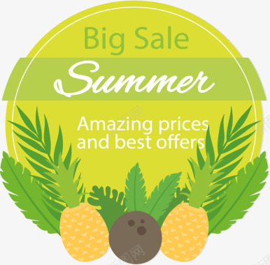 夏季菠萝和椰子装饰促销标签矢量图图标图标