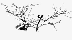 树枝雀鸟绘画素材