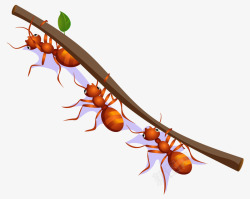 卡通手绘红色蚂蚁搬树枝素材