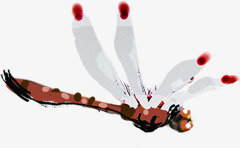 手绘夏季白色蜻蜓装饰素材