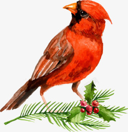 手绘插画红色的小鸟素材