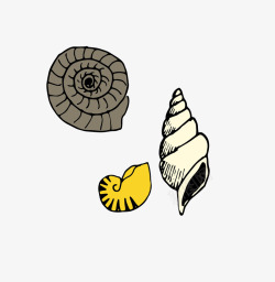蜗牛大海螺贝壳类卡通组合矢量图高清图片