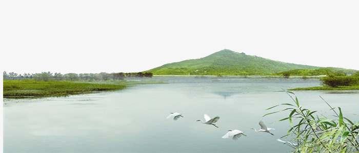 清新美丽景色png免抠素材_88icon https://88icon.com 仙山 小鸟 山川 摄影 旅游 景点 景色 植物 河流 流水 美景