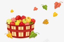 瓜果苹果秋天收获丰盛的果实高清图片